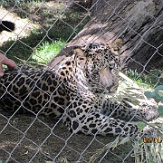 Picture 118
